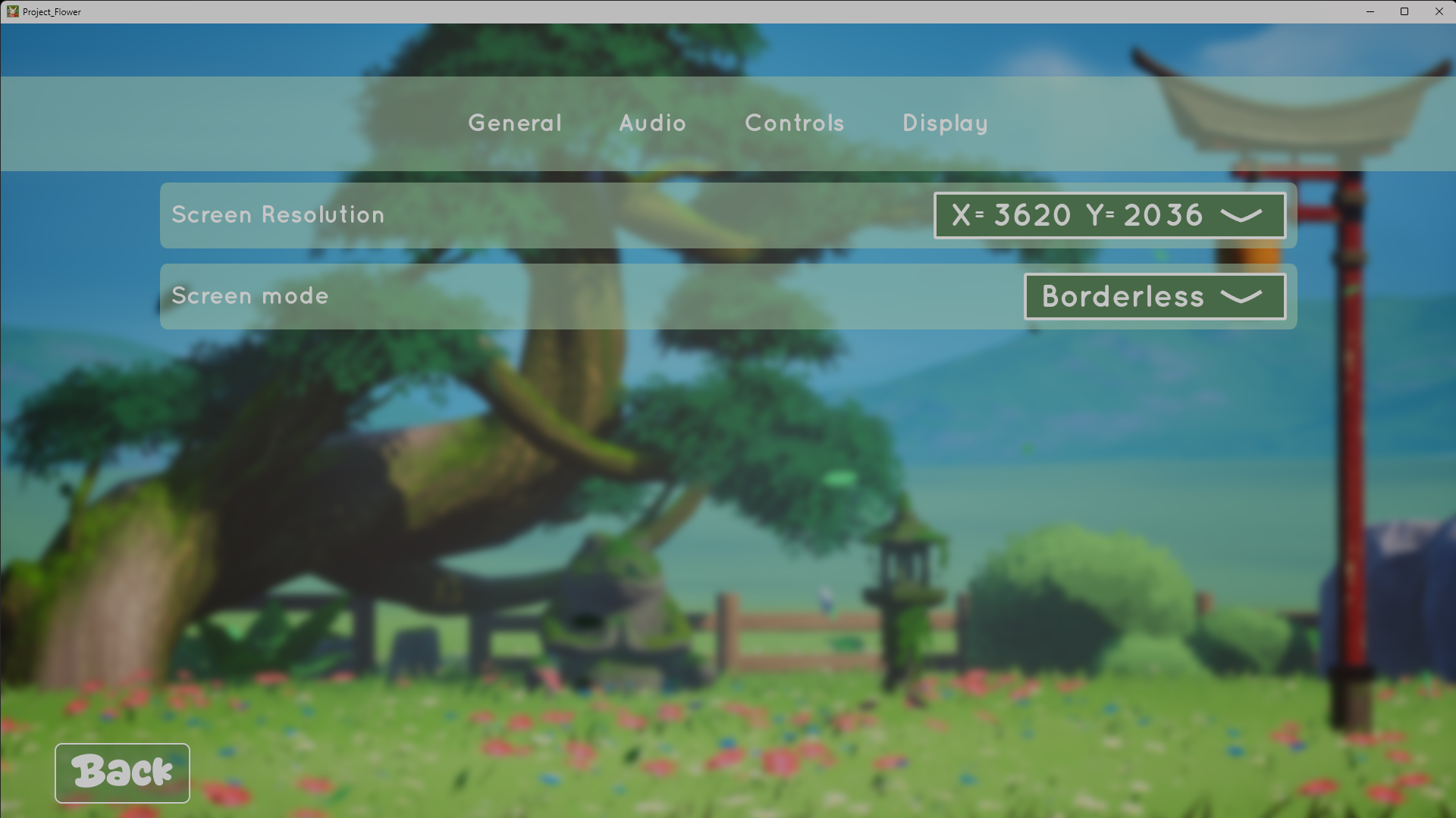 Display settings, final in-engine result